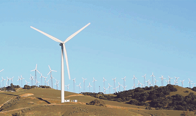 软木是葡萄牙的特色产品